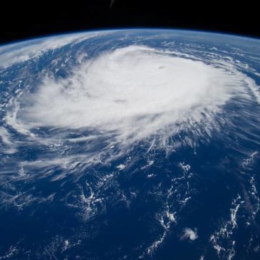 „Ehrgeiz und Fairness beim Klimaschutz sichern“ Parlament stimmt über Emissionshandels-Reform ab