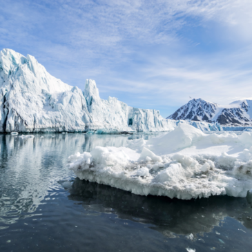 „Klimaschutz in Trippelschritten“ EU muss weltweite Klima-Allianz vorantreiben