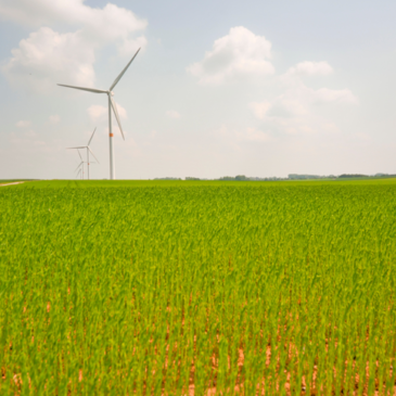 „Europäische Energiewende kommt voran“ Europaparlament will sauberere und bezahlbarere Energieversorgung