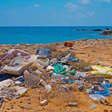 „Unsere Weltmeere sind keine Müllhalden“ Neue Maßnahmen gegen Plastikmüll dringend nötig