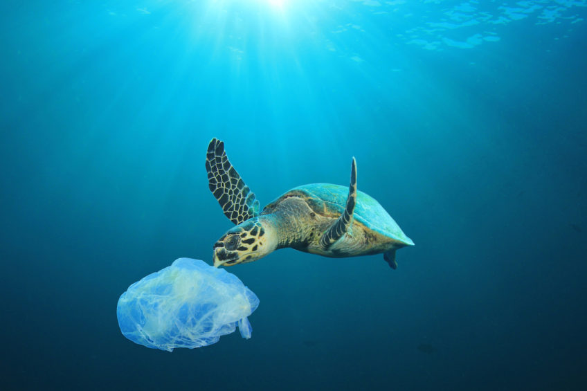 „Kampf der EU gegen Wegwerfplastik beginnt“
